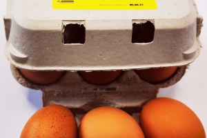 Freiland Eier 6 x 53 g +