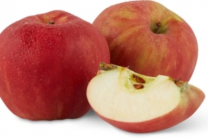 Apfel Gravensteiner