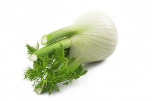 Fenchel
