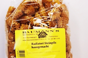 Radiatori Steinpilz