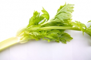 Sellerie  500 g